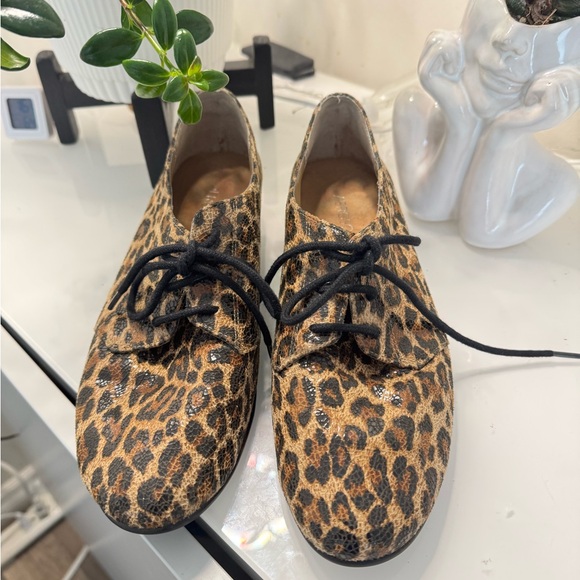 AEROSOLES Shoes - AEROSOLES Leopard Print Lace-Up Flats - Black & Brown US 8.5